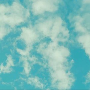 Meet your Posher, libby!😊